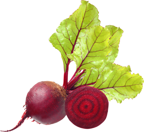 Beet Png