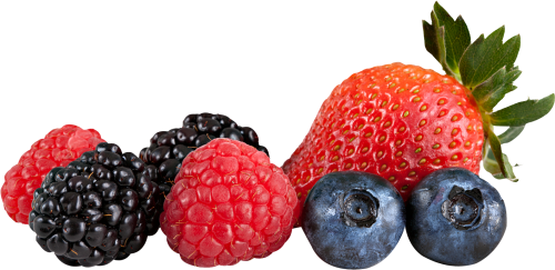 Berries Png Images Transparent Free Download Berries Png