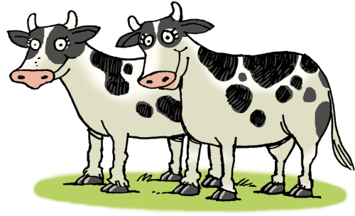 Banner Transparent Cow Clipart Png Cattle Png