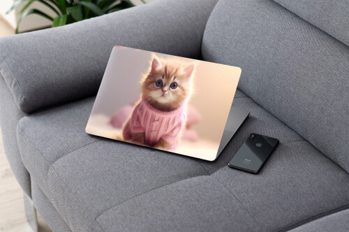 laptop skin3 kitten cat sweater animal 4k wallpaper uhdpaper.com 747@3@a