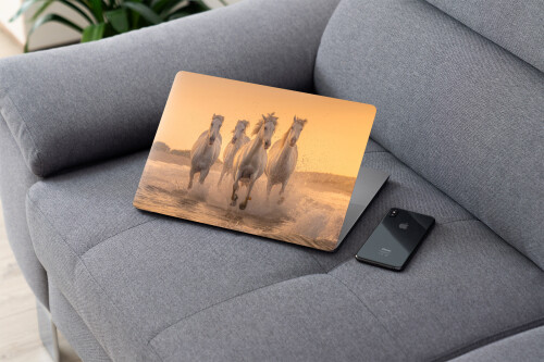 laptop skin3 white horse animal 4k wallpaper uhdpaper.com 233@3@a