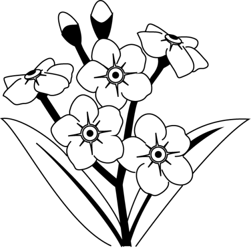 Banner Royalty Free Library Black And White Google Black And White Forget Me Not Clip Art