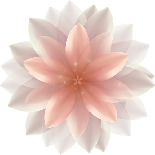 Beautiful Transparent Flower Png Clipart Image