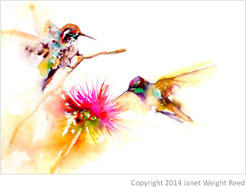 "thistle For Two" Hummingbird Print On Aluminum By Two Hummingbird