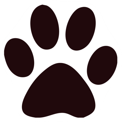 Black Cat Images Cat Paw Png