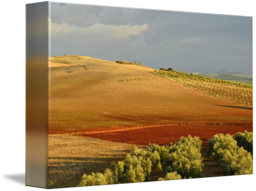 "evening Fields" By Marek Stepan, Malaga Spain Painting