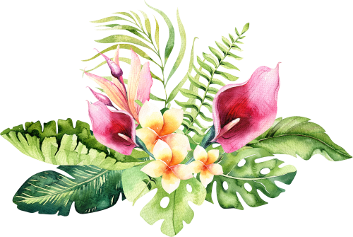 4 Hand Drawn Watercolor Tropical Flower