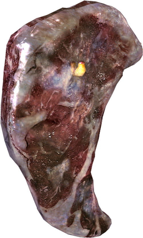 Zombie Flesh Render Call Of Duty Zombies The Flesh