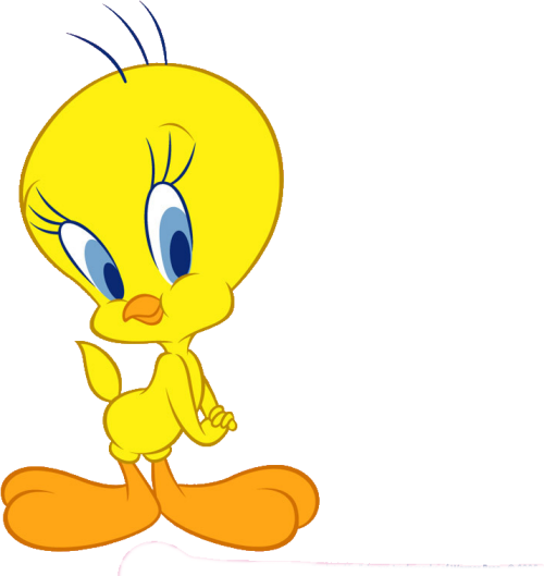 Tweety bird Cartoon Drawing With Colour