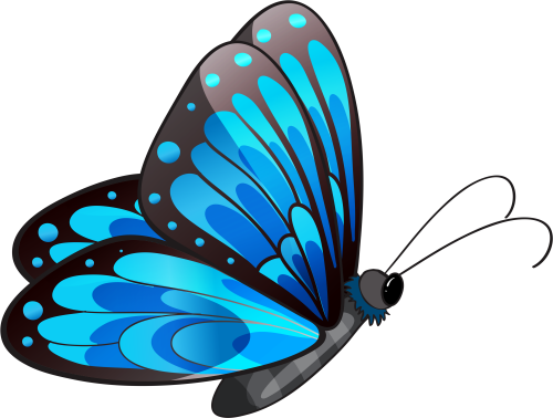 Transparent Blue Butterfly Png Clipart Blue Butterfly Clipart Png
