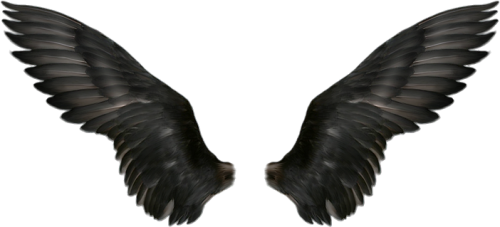 Wings Png Alas Negras De Angel