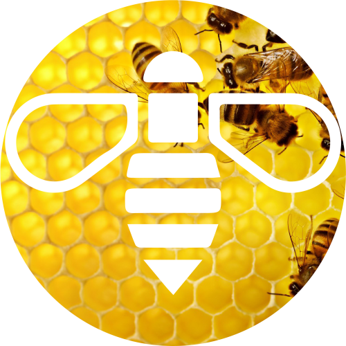 Why Bees Are Important To Our Planet Applied And Economic Zoology