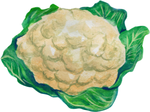 600 X 521 3 Cauliflower