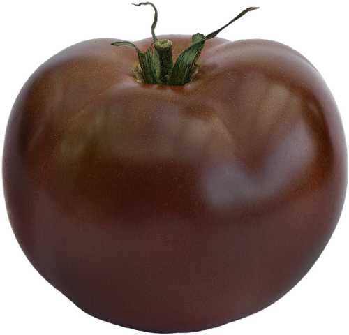 Black Tomato Png มะเขือเทศ สี ดำ