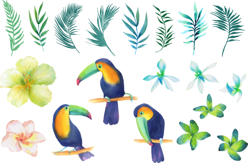 Birds In Tree Clipart Watercolor Painting