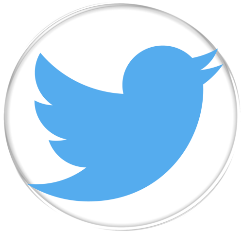 021 830 Grey Twitter Logo Png