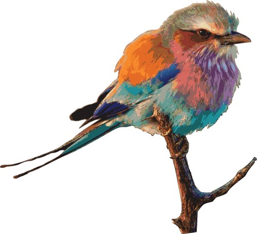 , , Roller Bird Png