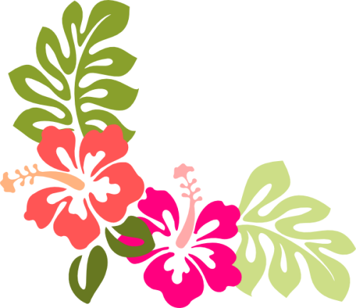 Vector Hibiscus