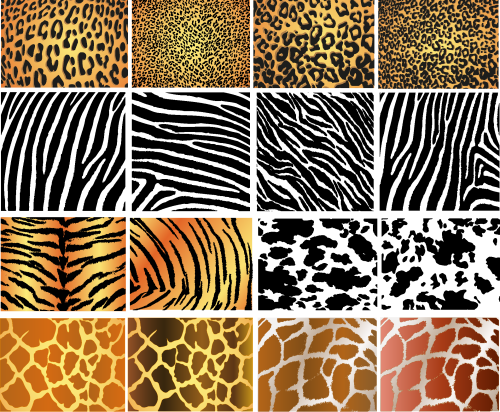 Animal Skin Textures