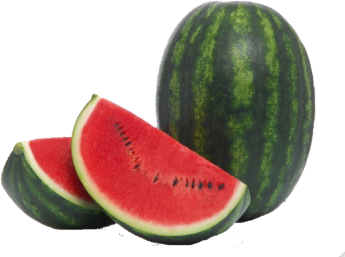 Tropical Watermelon Png Photo Background Watermelon Sensei