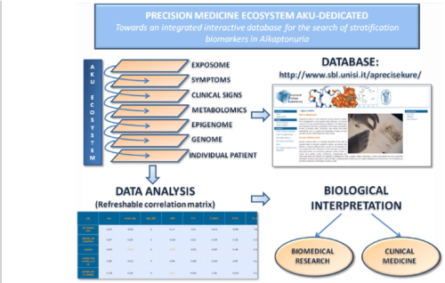 Aku dedicated Precision Medicine Ecosystem Information