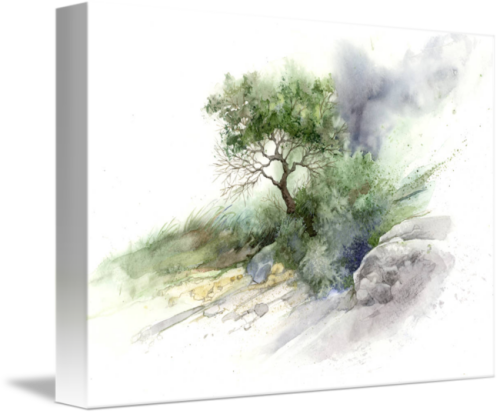 "brush And Stone Study" By Steve Mitchell Mind Of Watercolor Trees