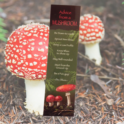 Advice From A Mushroom Bookmark Toadstool Mushroom