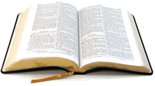 Bible Bible For Beginners A Basic Guide For Beginners