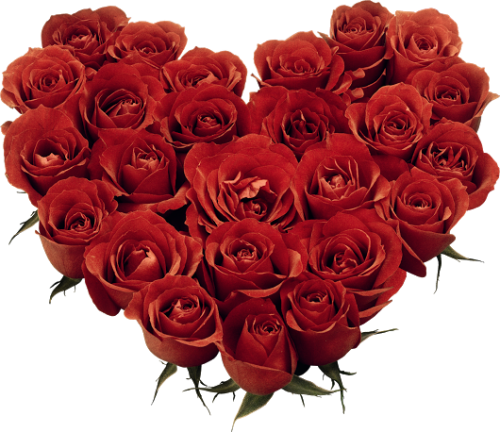 3 Bp Blogspot Com Kq2qgkzkscqupmfrved8 Iaaaaaaabham Red Rose Image Download