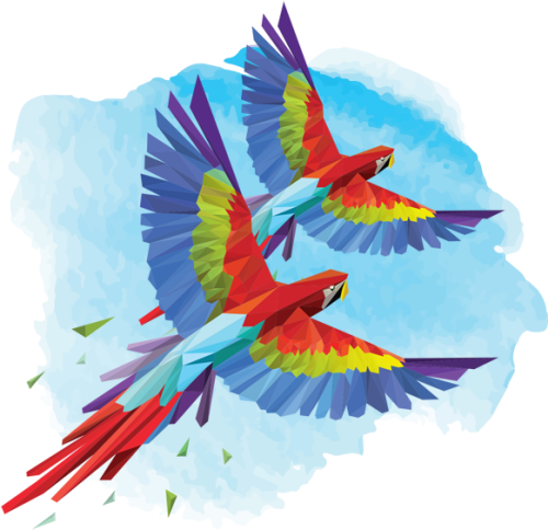 Elope In Costa Rica Birds Of Costa Rica Illustrations