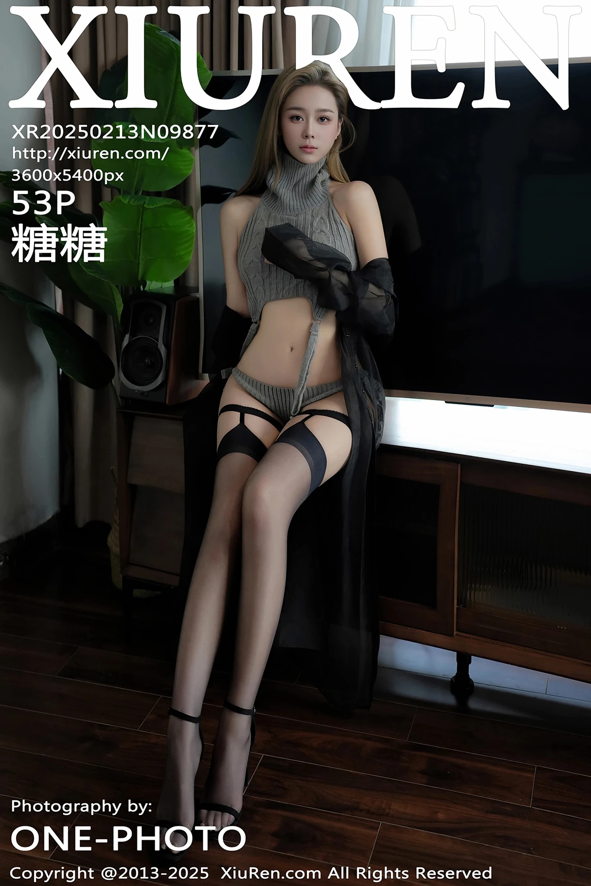 [秀人网] 2025.02.13 No.9877 糖糖❤[53P]-PicJJ