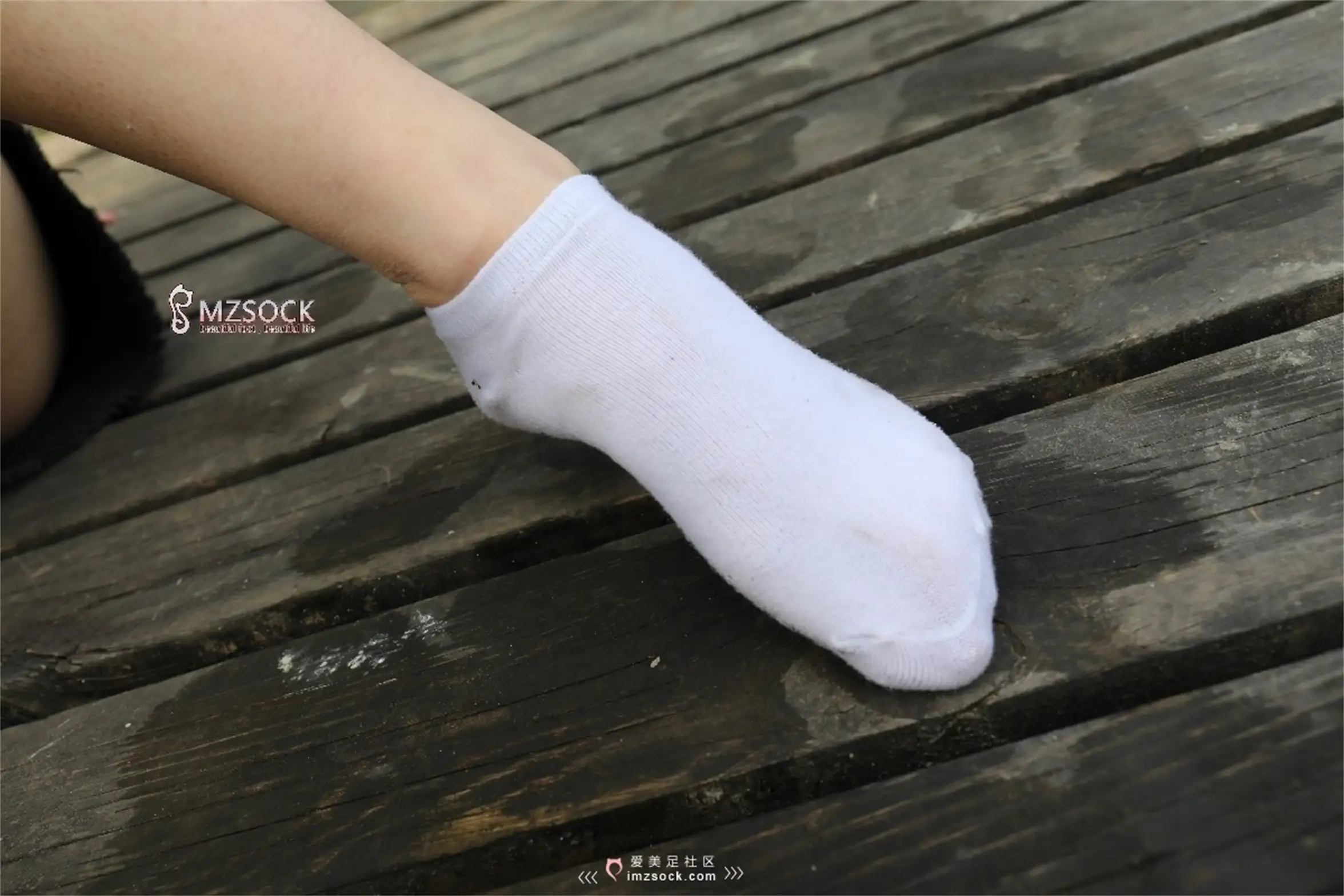[MZSOCK]爱美足 NO.069-052