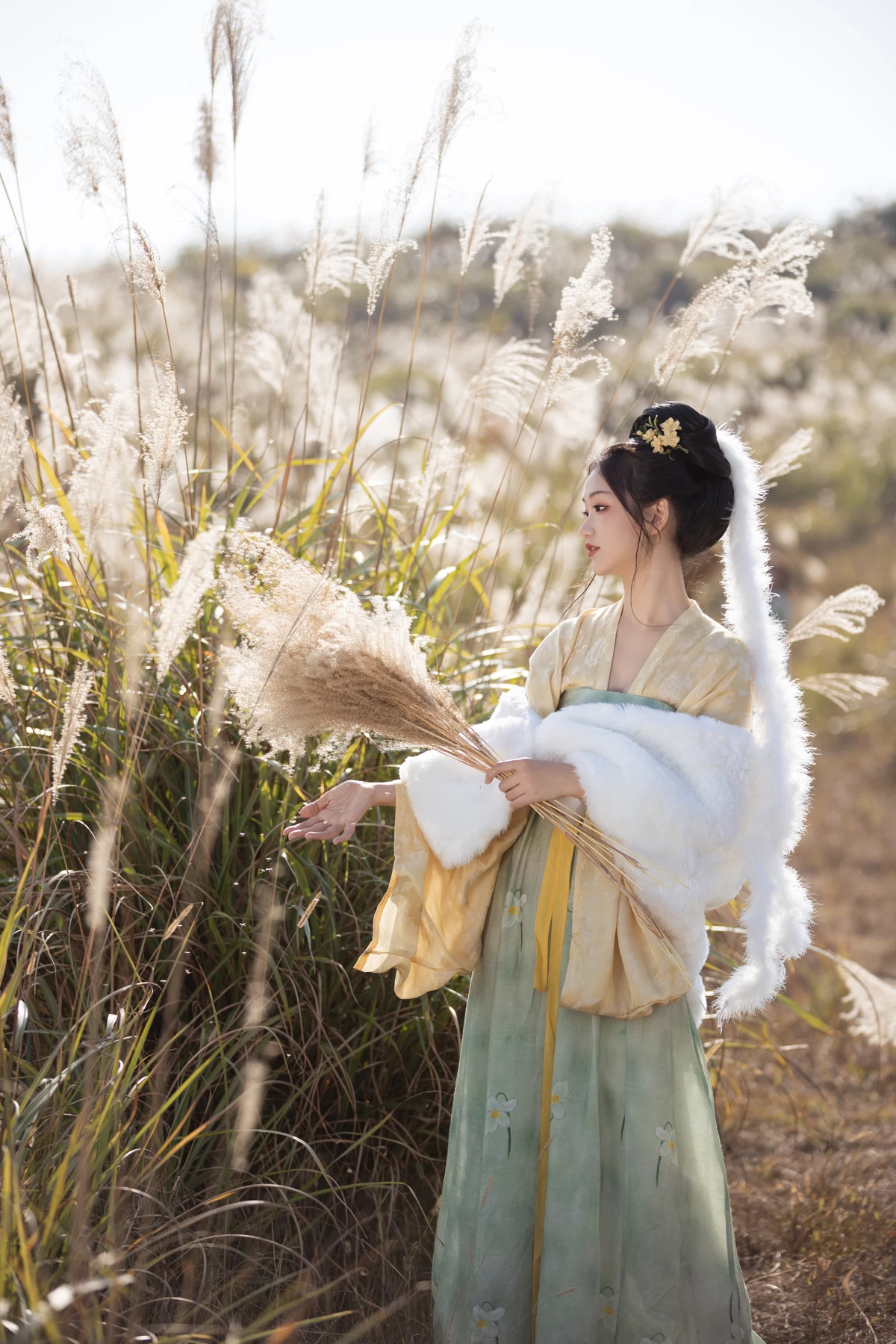 [艺图语]2023.02.09 Vol.3004 芦苇晚风鸣#晚江亭#[25P]-004