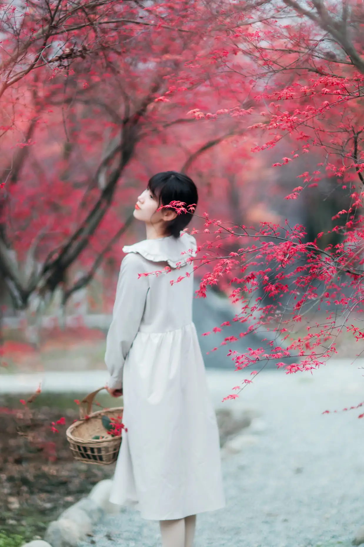 [艺图语] 2021.12.23 Vol.521-006