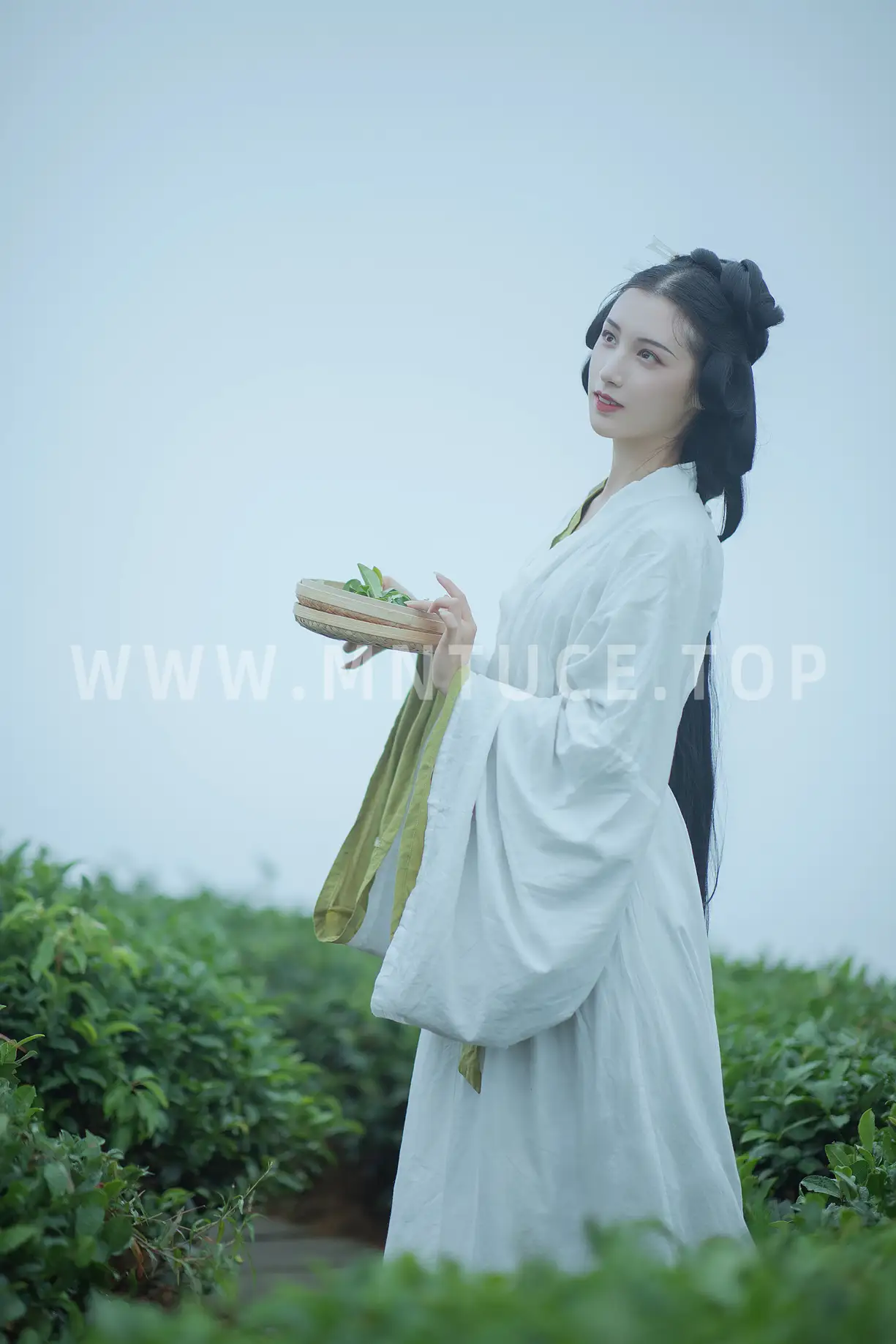 [艺图语] 2021.12.02 Vol.481-019