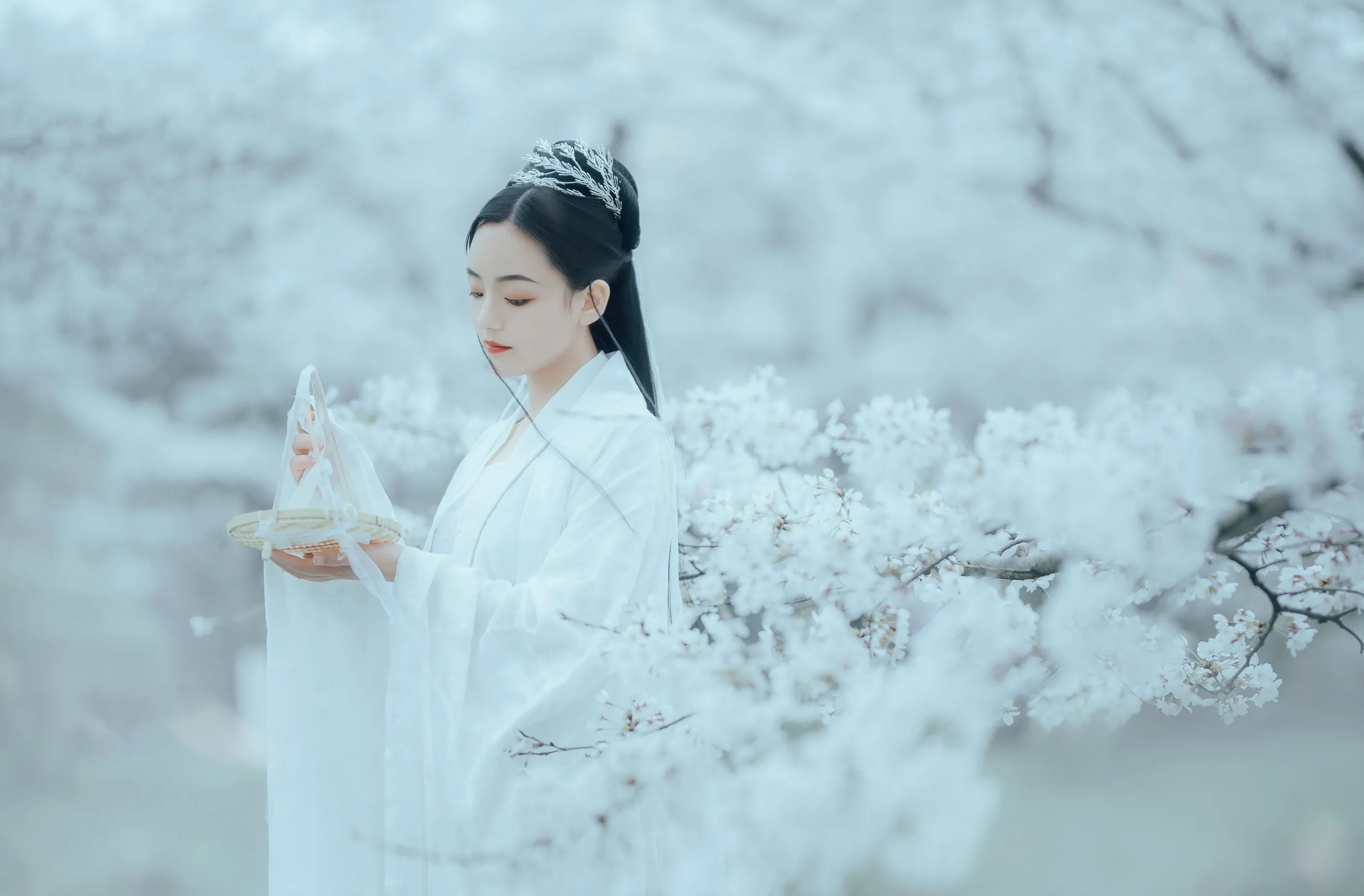 [艺图语]2022.12.06-007