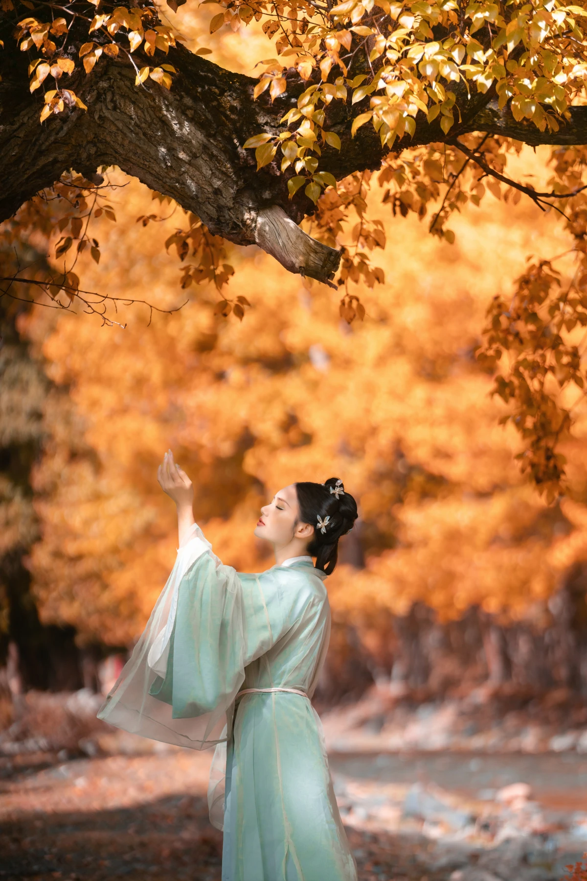 [艺图语]2023.02.09 Vol.3006 秋叶渐红#谢阿玲#[27P]-023
