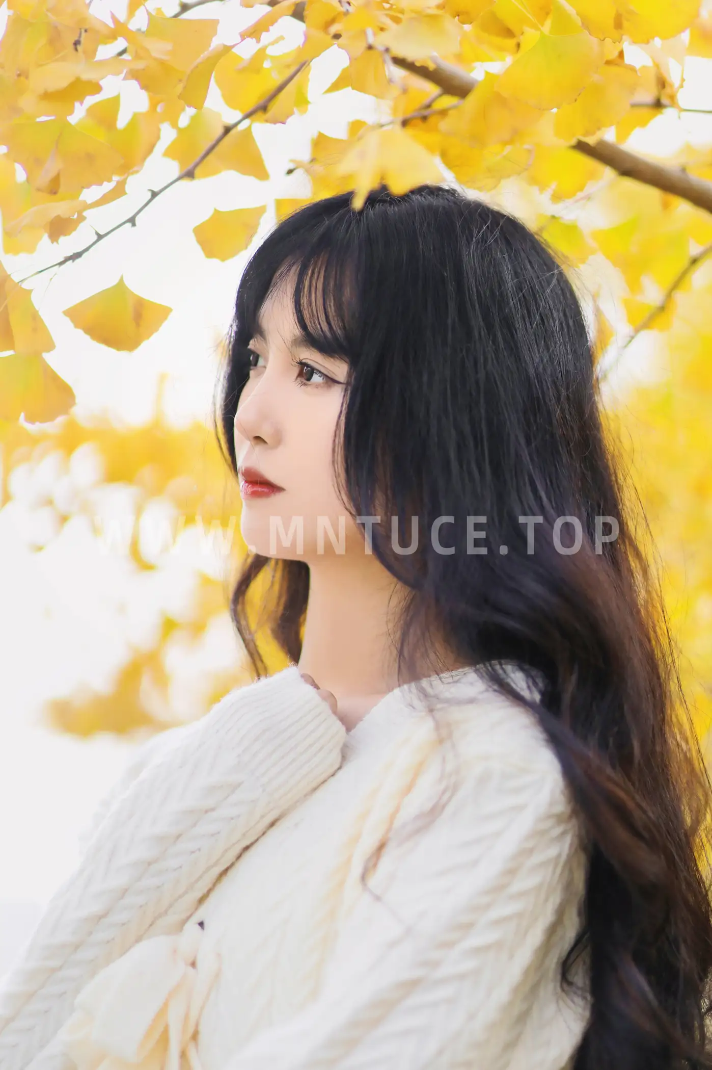 [艺图语] 2022.11.19 Vol.2112-014