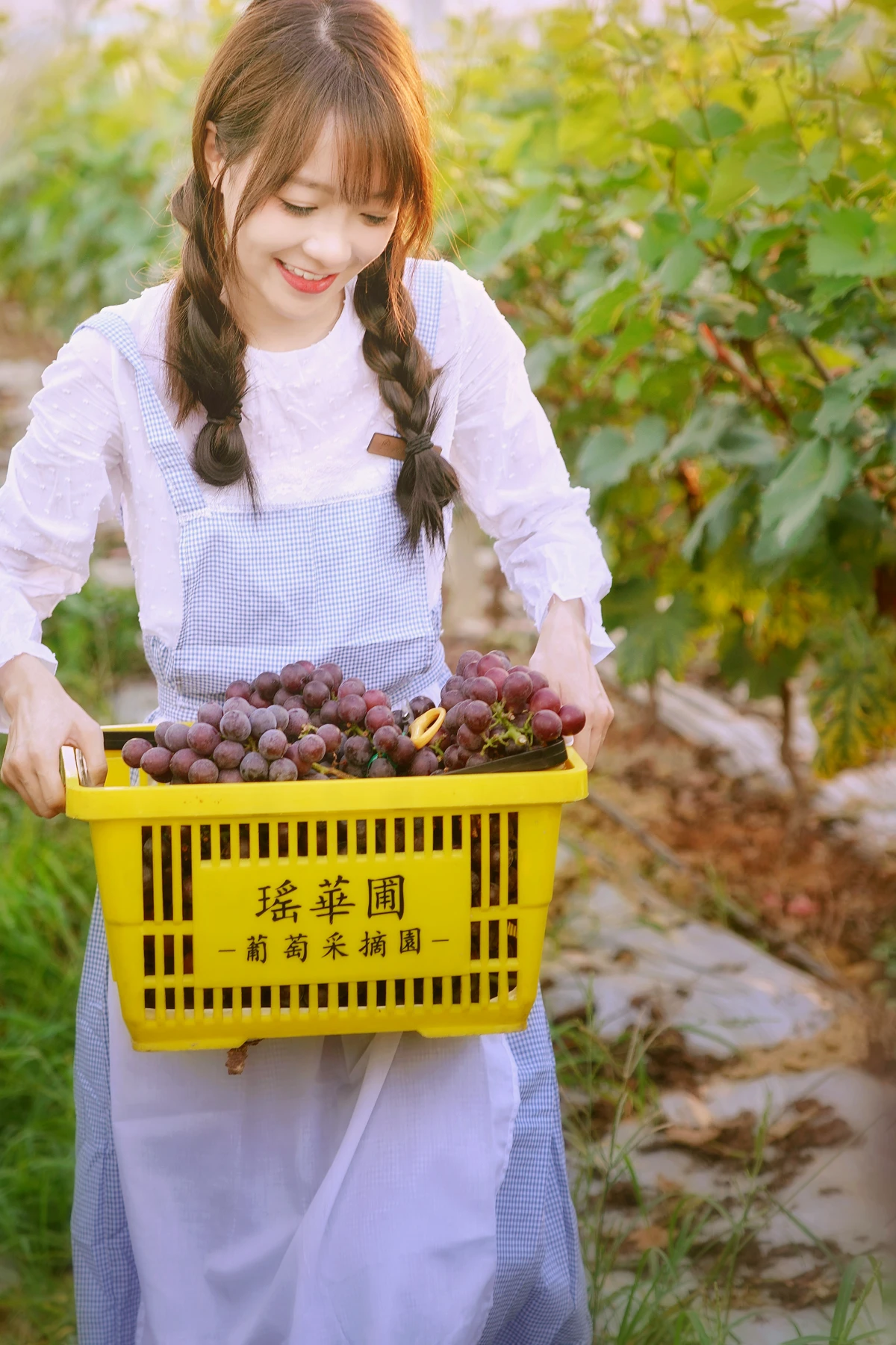 [艺图语]2023.02.04 Vol.2969 葡萄园丰收的喜悦#鸭鸭#[23P]-020