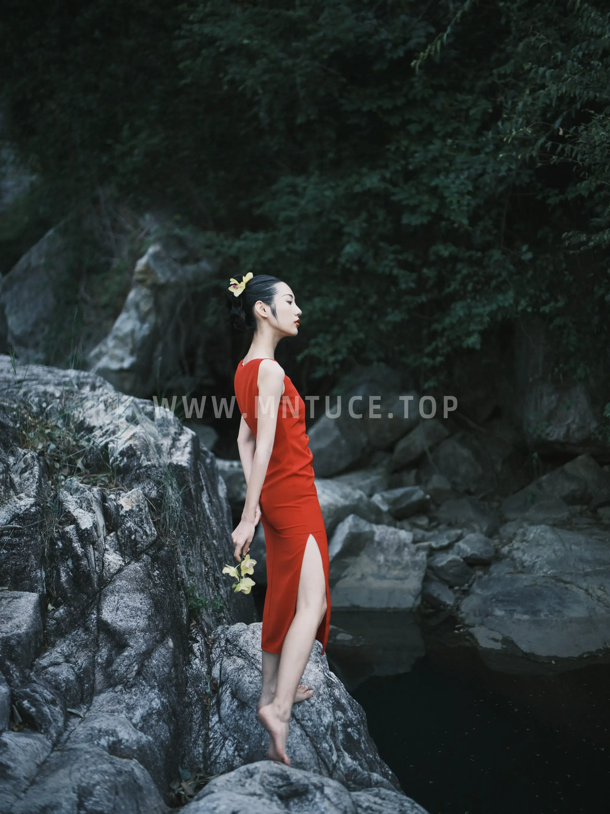 [艺图语] 2022.11.14 Vol.2074-042