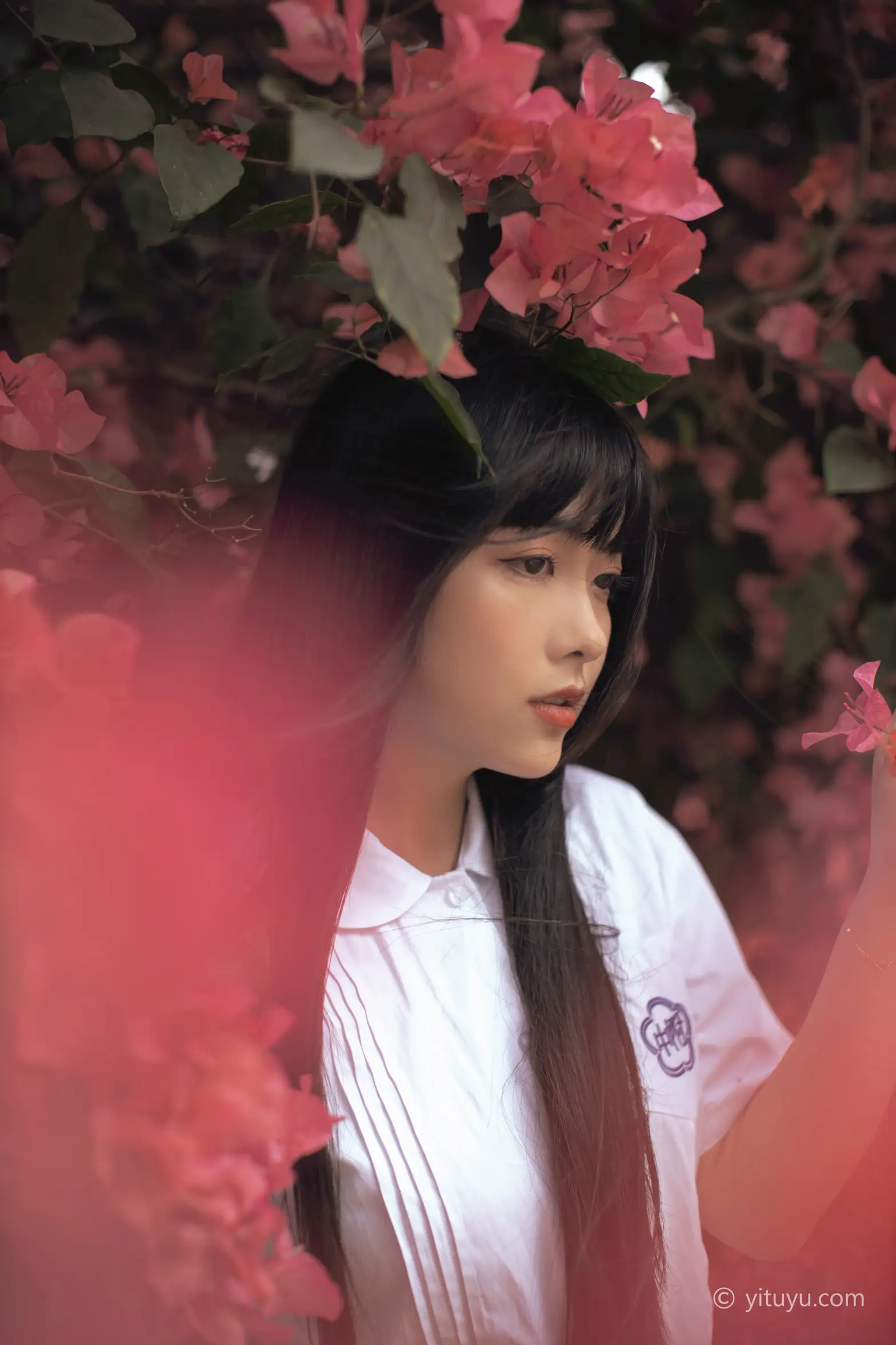 [艺图语] 2021.04.28 Vol.046-011