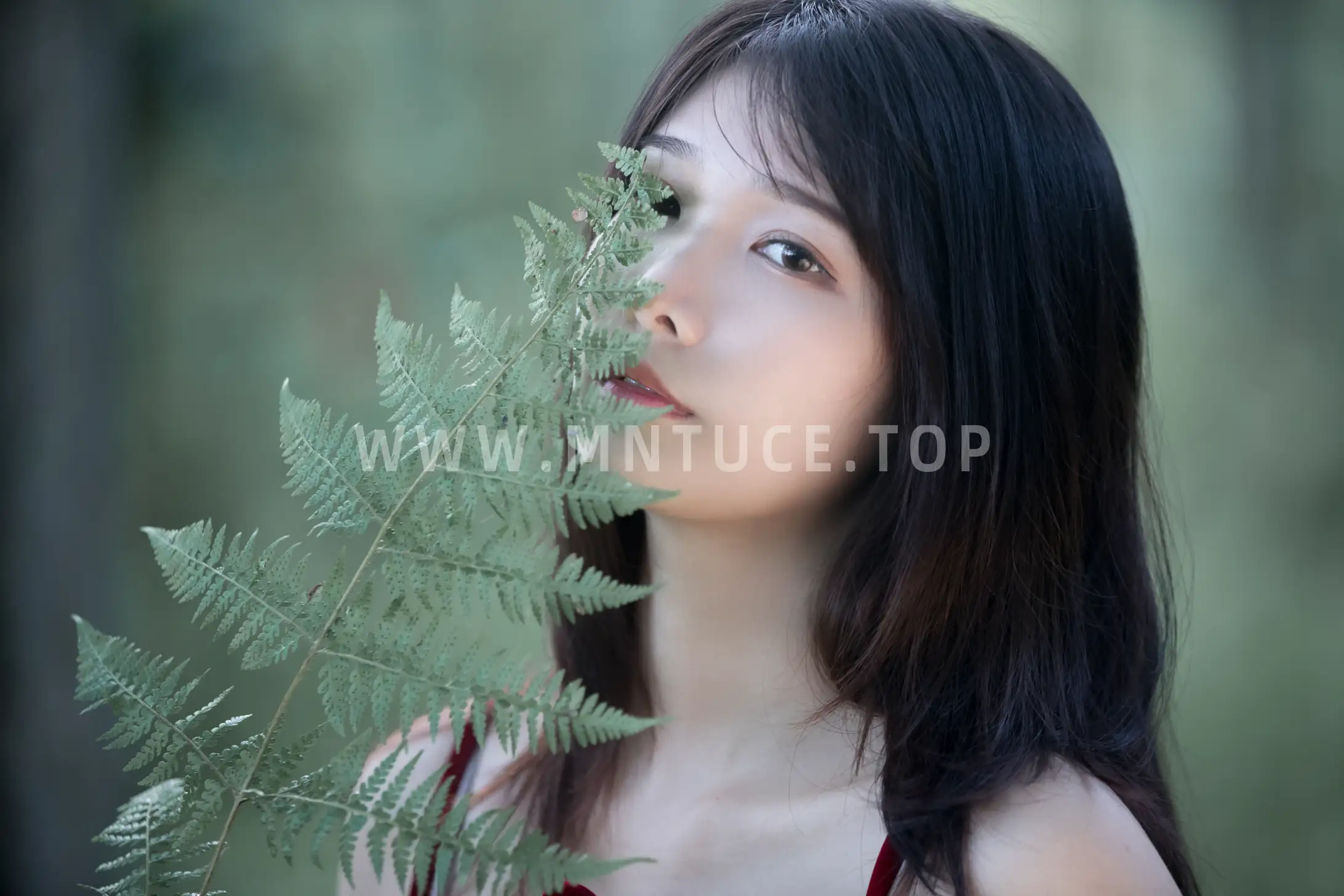 [艺图语] 2021.11.06 Vol.425-019