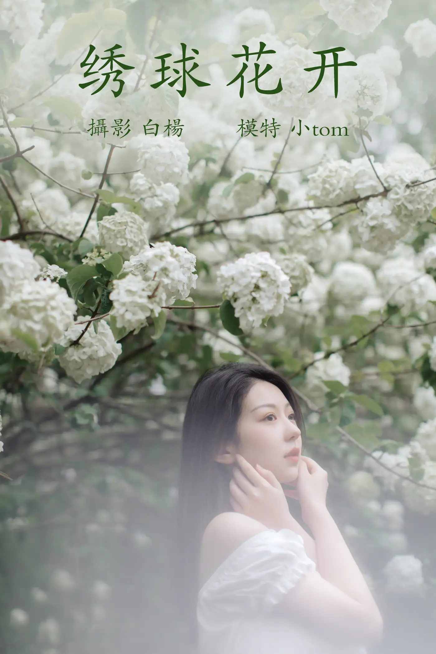 [艺图语] 2021.12.31 Vol.565 – 绣球花开 小tom[22P]-PicJJ