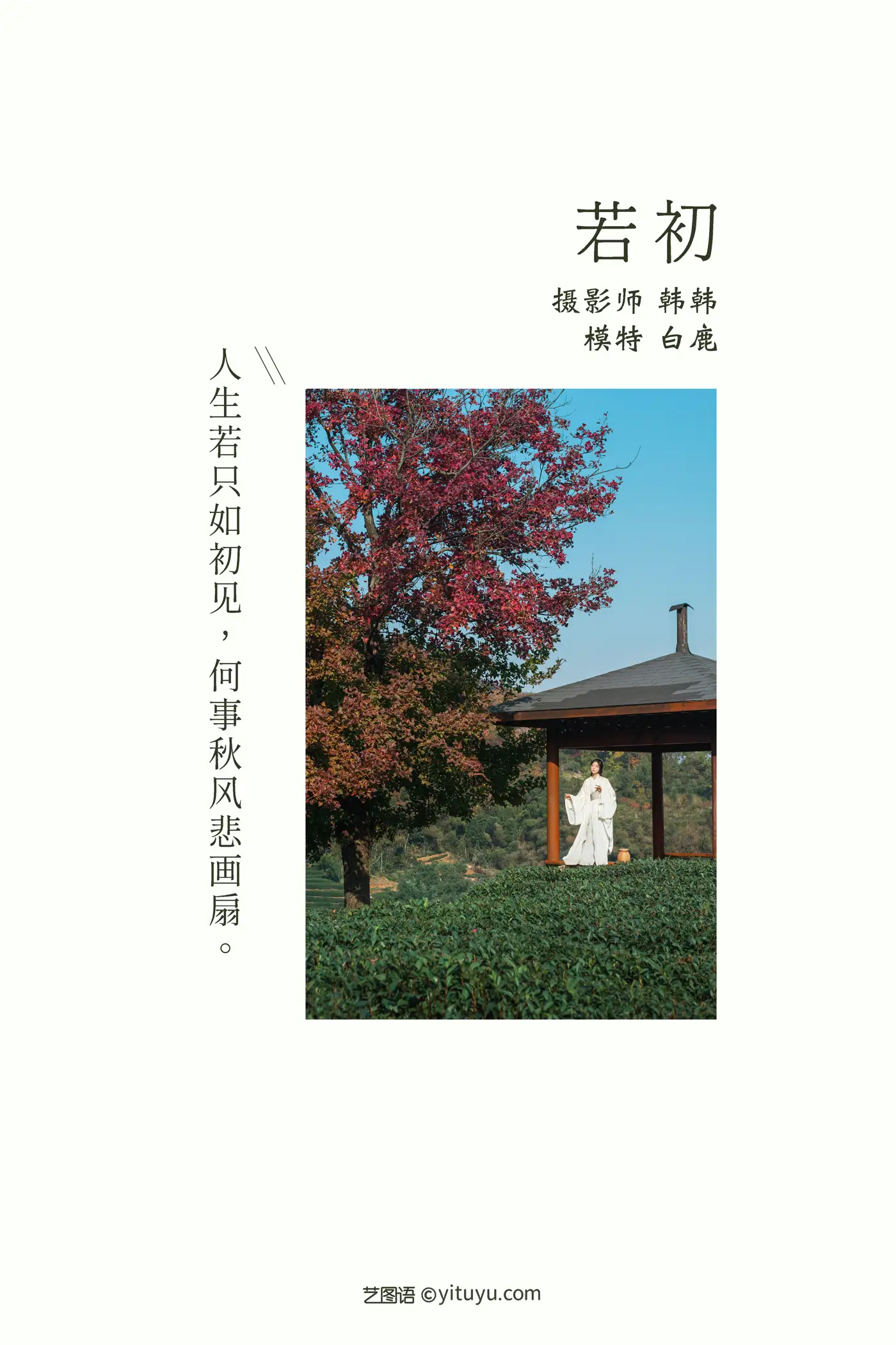 [艺图语] 2021.11.25 Vol.472-002