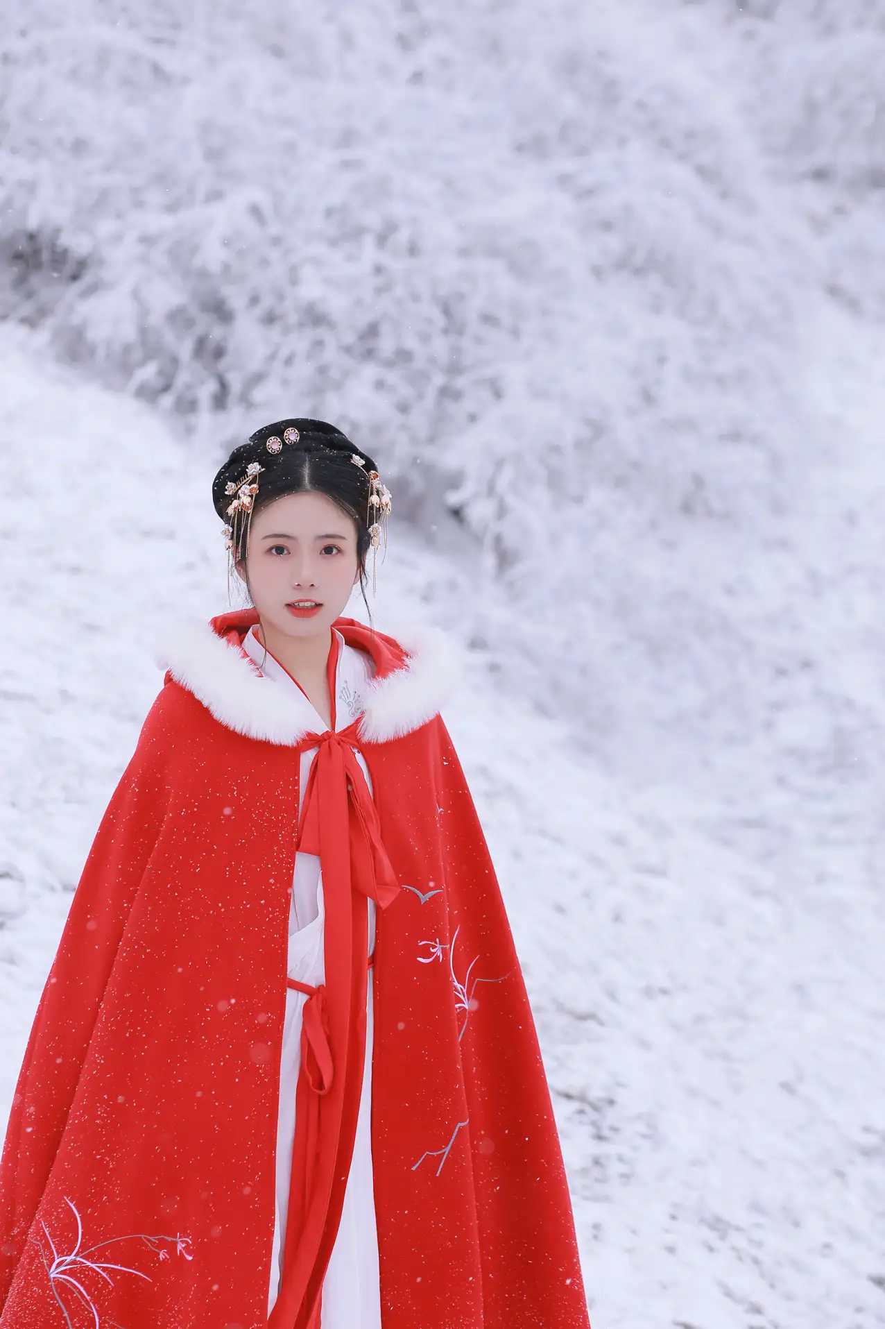 [艺图语] 2021.12.25 Vol.531-026