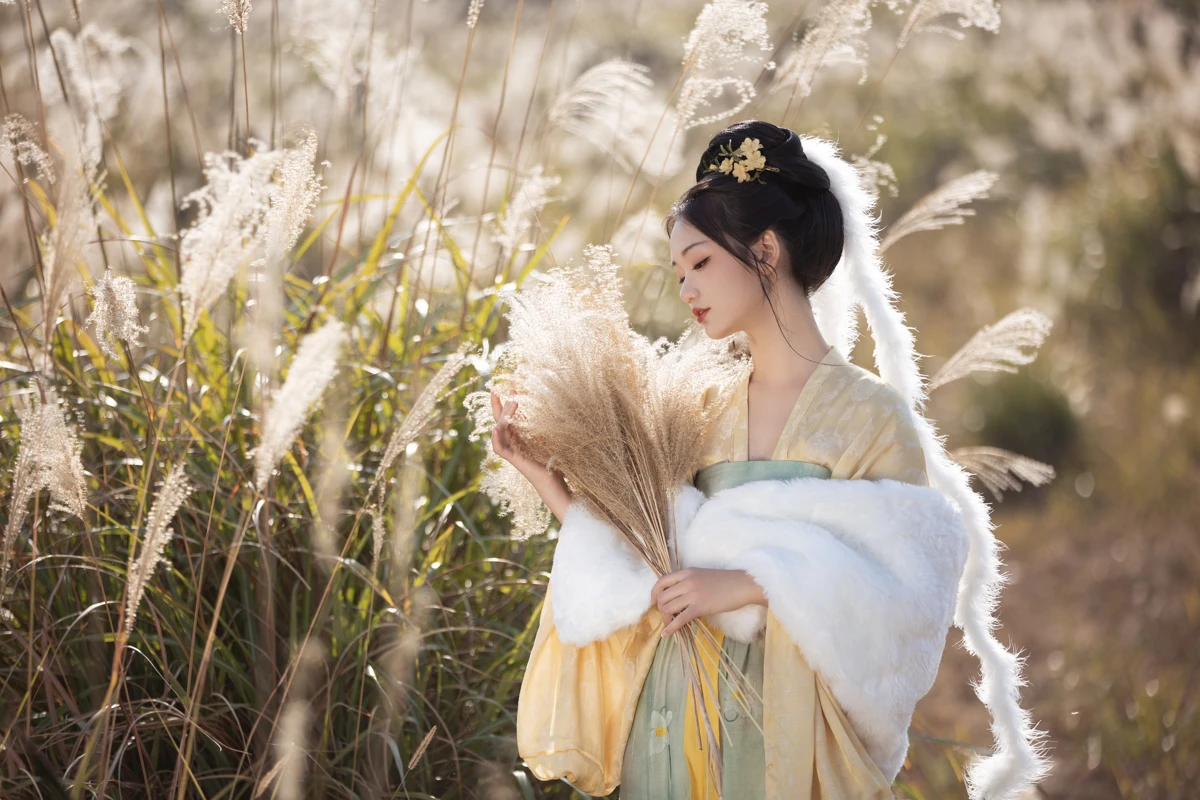 [艺图语]2023.02.09 Vol.3004 芦苇晚风鸣#晚江亭#[25P]-003