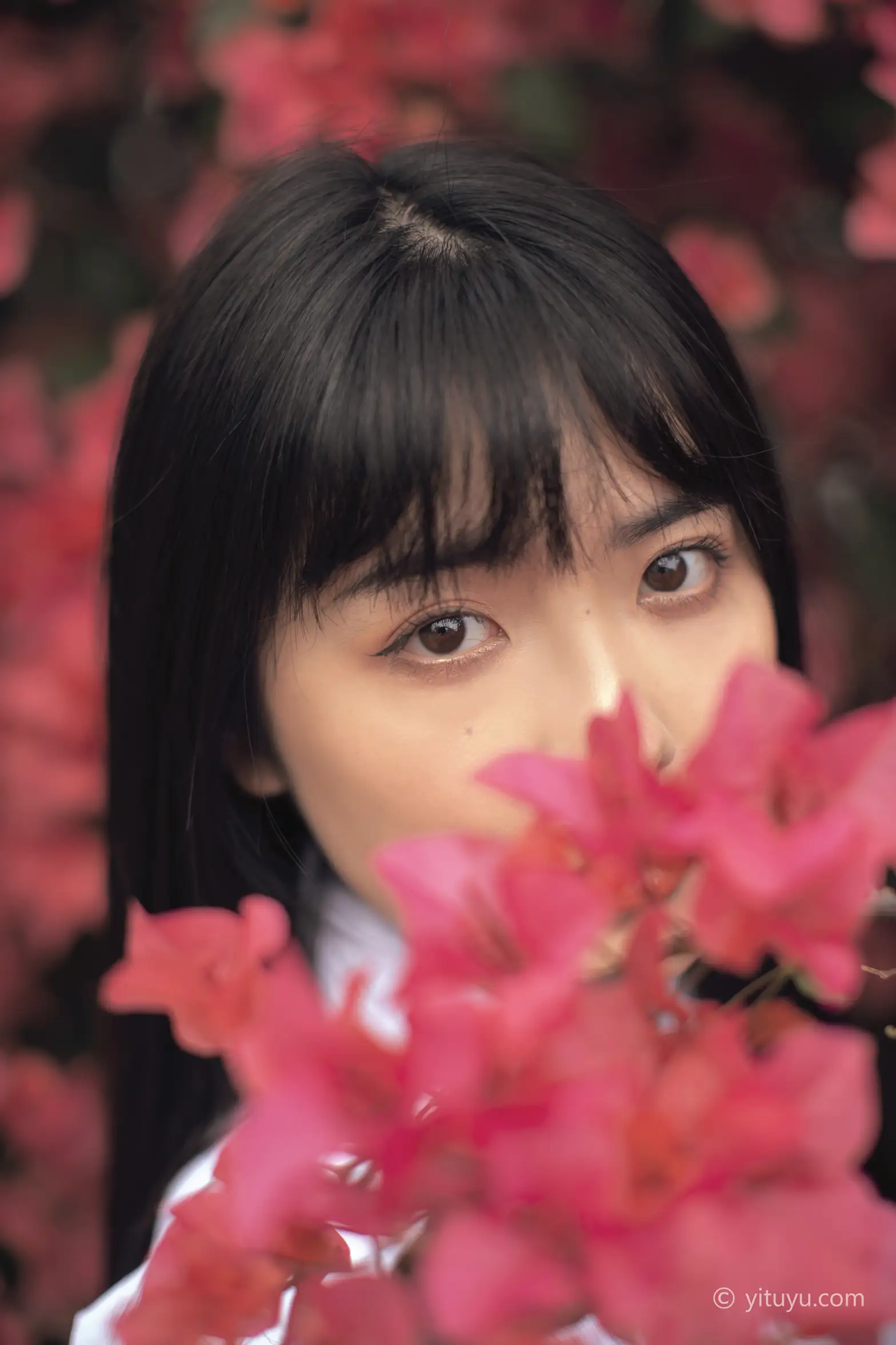 [艺图语] 2021.04.28 Vol.046-012