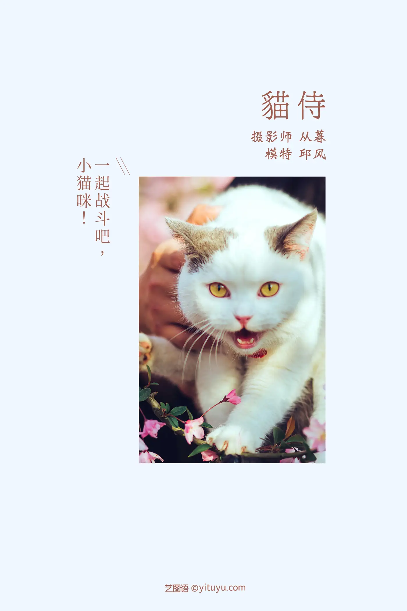 [艺图语] 2021.09.04 Vol.245-002