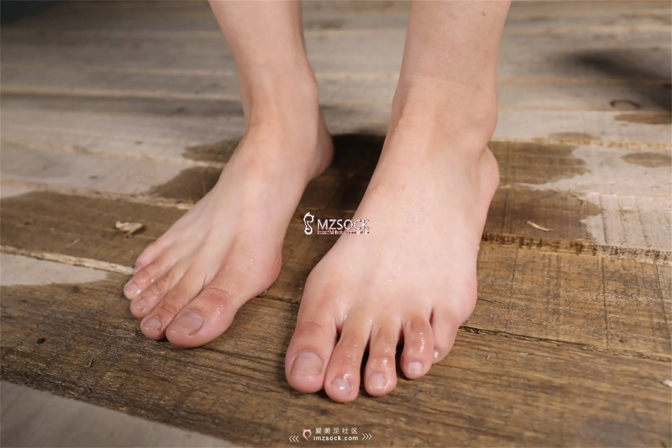 [MZSOCK]爱美足 NO.066-068