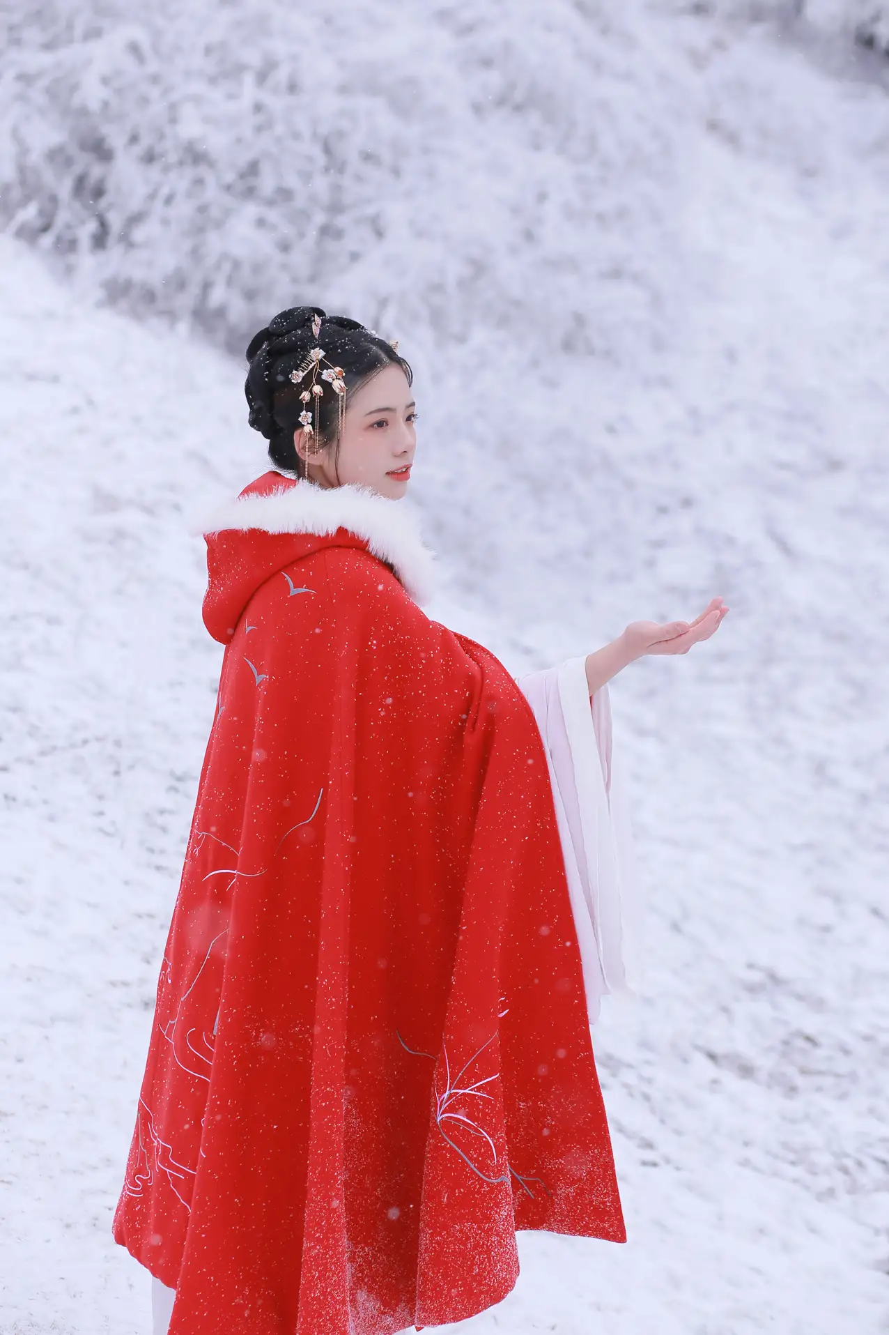 [艺图语] 2021.12.25 Vol.531-017